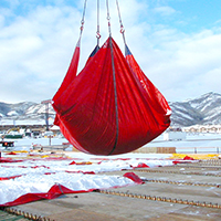 Tarps Salji